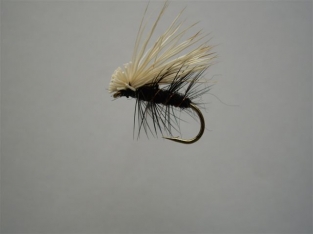 Size 16 Black Elk Hair Caddis